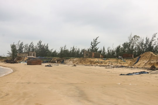 Núi Thành (Quảng Nam): Bờ biển Tam Hải bị sạt lở nghiêm trọng