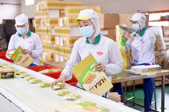 Bibica sẽ về tay ai?