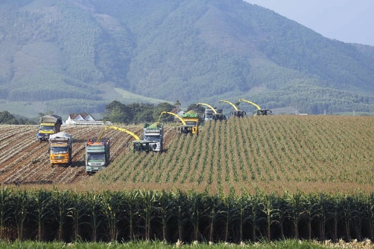 BAC A BANK tiên phong  phát triển tín dụng xanh