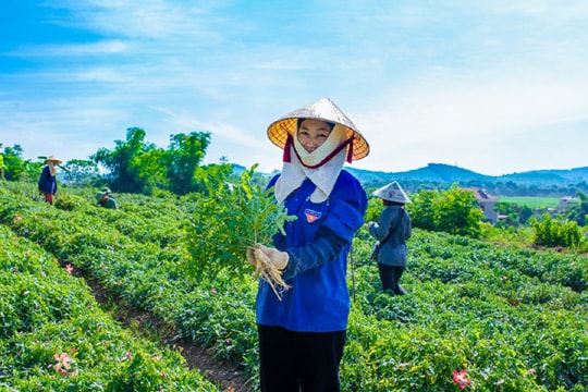 Cần gỡ “điểm nghẽn” đất đai để phát triển nông nghiệp