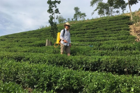 Khởi nghiệp nông nghiệp: