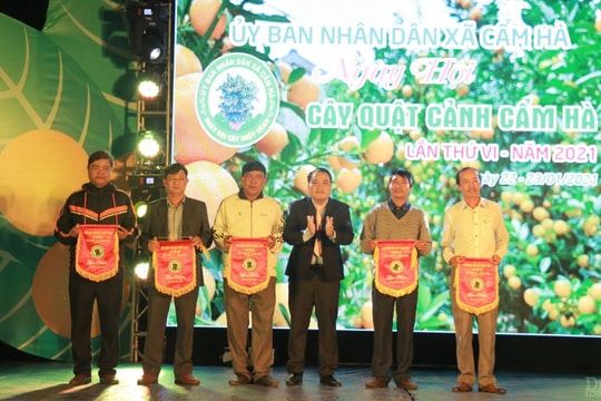 Ngày hội quất cảnh Hội An