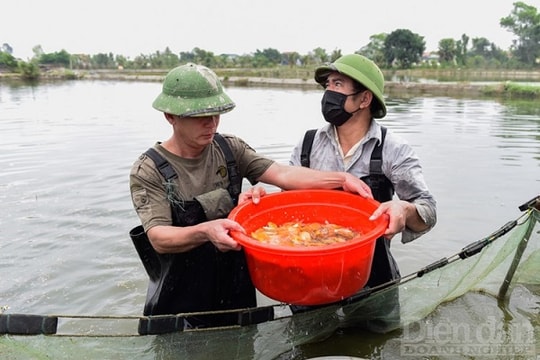 Thanh Hóa: Làng nghề cá chép rộn ràng thu hoạch phục vụ Tết ông Công ông Táo