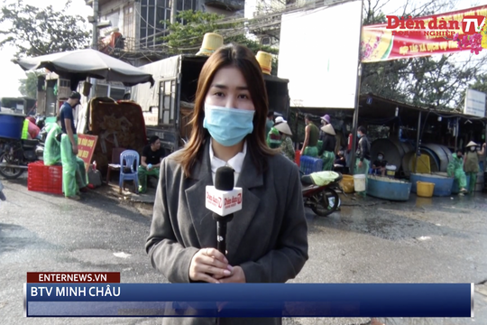 Thị trường cá chép cung không đủ cầu, giá tăng bất ngờ