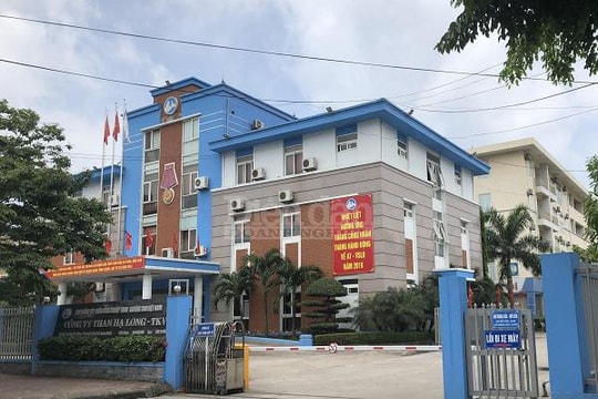 PHÁP LUẬT CUỐI TUẦN: Than “thổ phỉ” - Bệnh nan y… càng để lâu, càng khó chữa