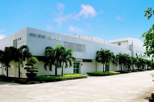 Một doanh nghiệp Dược trên sàn HNX sắp trả cổ tức "ngập mặt"