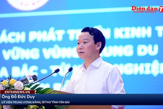 Với lợi thế rừng che phủ lớn, Yên Bái xác định lâm nghiệp là thế mạnh