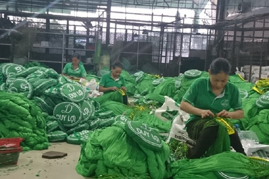 Bảo hộ thương hiệu Việt: Võng xếp Duy Lợi và 2 lần vấp tại 2 thị trường lớn