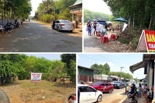 Phó Thủ tướng chỉ đạo xử lý nghiêm đối tượng lợi dụng thông tin thổi giá đất