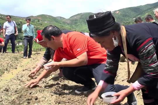 Thúc đẩy liên kết 4 nhà để phát triển cây dược liệu ứng dụng công nghệ cao