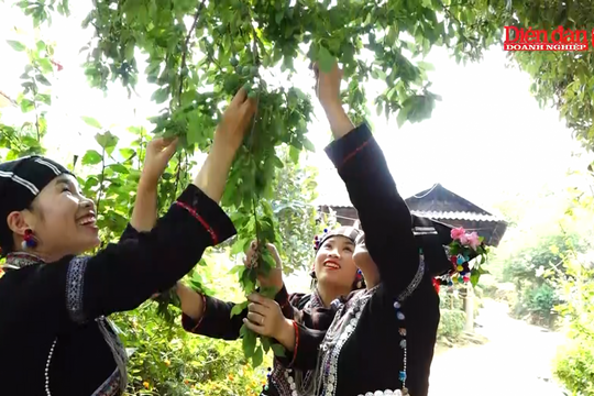 Du lịch cộng đồng - Cần chính sách hỗ trợ để phát triển bền vững