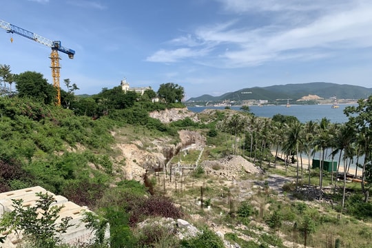 Doanh nghiệp cổ phần hoá phải lập báo cáo hiện trạng quản lý sử dụng đất