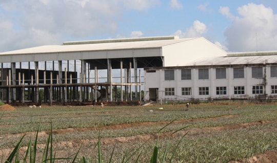 Vụ doanh nhân khởi nghiệp vướng lao lý: Tòa quyết định hủy bỏ kê biên tài sản