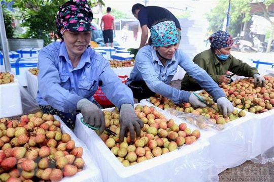 Quyết sách đúng đắn cho nông sản Việt