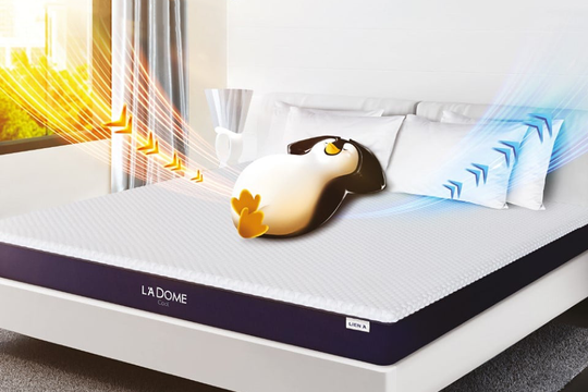 Đệm cao su đã thay đổi định kiến dùng đệm của người Việt như thế nào?