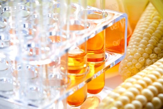 Bộ Công Thương gia hạn điều tra chống bán phá giá đường lỏng chiết xuất nhập khẩu