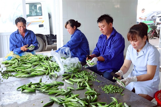 Giải pháp nào cho bài toán chuỗi cung ứng nông sản Việt?