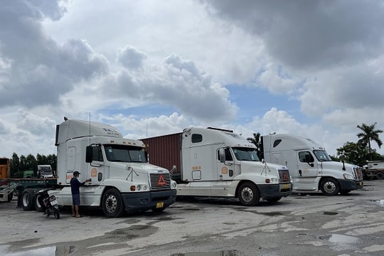 Hải Phòng: Doanh nghiệp vận tải “thở oxy” trong mùa dịch