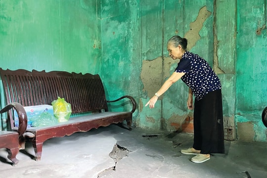 Nghịch lý san lấp  dự án ở Quảng Ninh