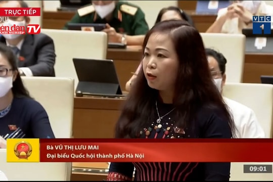 Đại biểu Lưu Mai: Thúc đẩy giải ngân, thận trọng quản lý gói cứu trợ 26.000 tỷ đồng