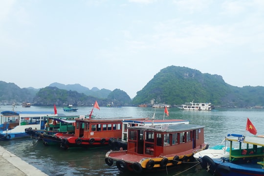 Gói hỗ trợ làm sao trúng và đúng: Gói tái cấp vốn... kén đối tượng