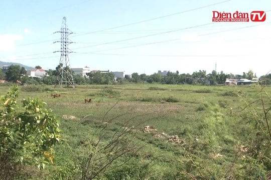Đà Nẵng: Bỏ hoang đất sản xuất vì... dự án
