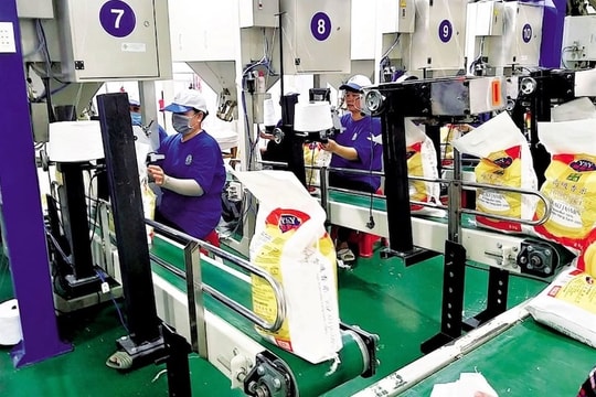 Doanh nghiệp xuất khẩu gạo chờ “luồng xanh”