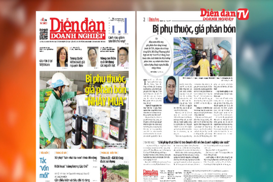 ĐIỂM BÁO NGÀY 25/08: Bị phụ thuộc, giá phân bón "nhảy múa"