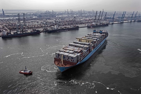 Hãng tàu bắt đầu “xanh hóa”