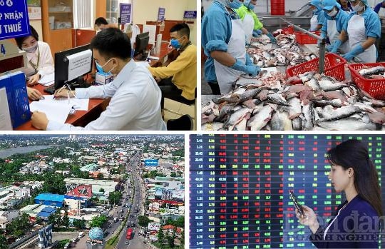 Nhịp sống kinh tế tuần từ 13 - 19/9