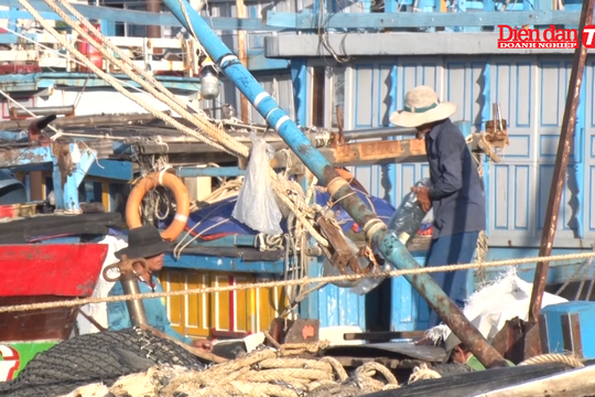 Tiểu thương gặp khó tại cảng cá lớn nhất miền Trung