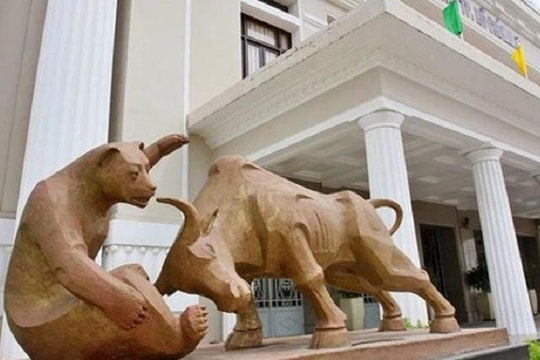 HOSE: VPS tiếp tục dẫn đầu thị phần môi giới cổ phiếu quý III/2021