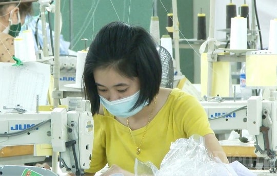 Tứ Kỳ (Hải Dương): Hỗ trợ doanh nghiệp vượt qua đại dịch