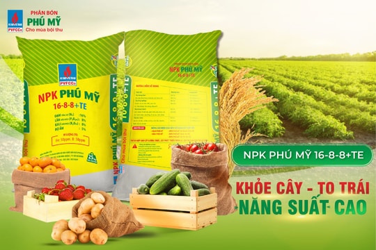 NPK Phú Mỹ năm 2021: tăng trưởng vượt bậc