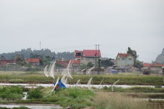 Muôn kiểu giăng bắt, tận diệt chim trời