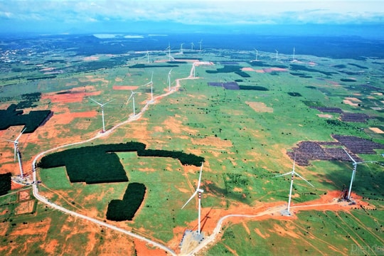 62 dự án không kịp bán điện gió giờ chót