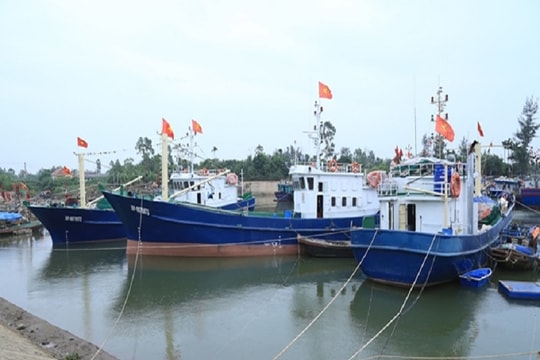 Hải Phòng: Cảng và dịch vụ nghề cá chưa đáp ứng nhu cầu