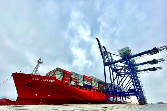 Bất chấp sa bồi và đại dịch, cảng HICT liên tục đón tàu “khủng”