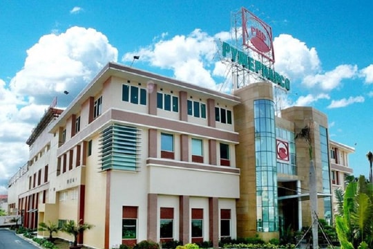 Vì sao cổ phiếu PME bị hủy niêm yết?