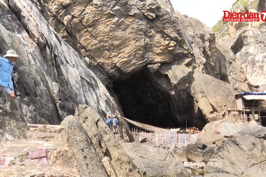 Quảng Nam tìm cách khôi phục kinh tế đàn yến Cù Lao Chàm