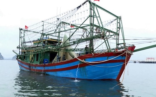 Quảng Ninh: Chú trọng đầu tư xây dựng hậu cần nghề cá