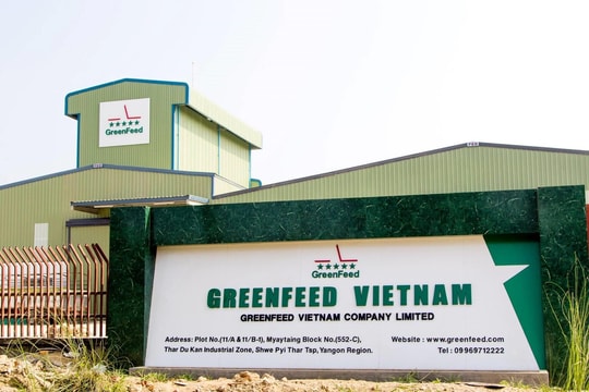 “Liều doping” 1.000 tỷ của GreenFeed Việt Nam
