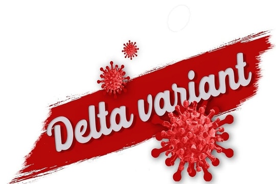 Virus SARS-CoV-2 tự hủy (Kỳ 2): Chuyên gia nói gì?