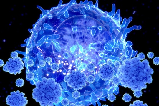 Thế giới cảnh báo mối nguy hiểm từ biến chủng Omicron