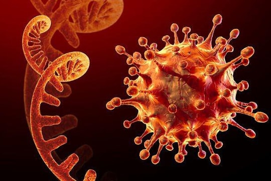 Lo ngại biến chủng Omicron là rào cản phục hồi kinh tế toàn cầu