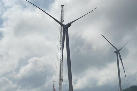 Vừa được công nhận COD, công ty Hoàng Hải bị khởi kiện