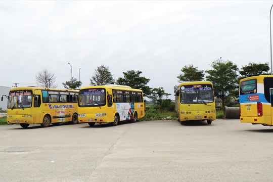 Vận tải Quảng Nam mong VCCI “trợ sức”