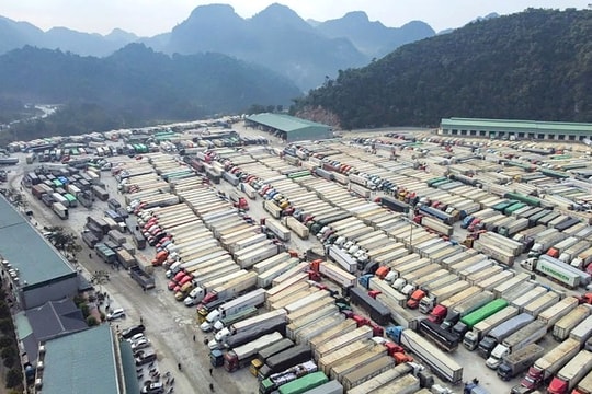 Ùn tắc nông sản biên giới: Mở "luồng xanh" khu vực biên giới