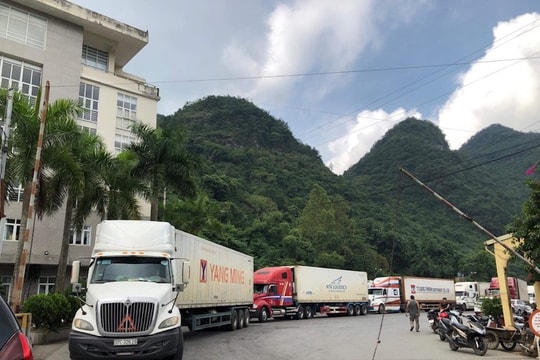 Ùn tắc nông sản biên giới: Trung Quốc thông quan xuyên Tết với hàng container lạnh