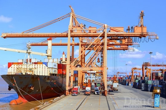 Khi nào cước vận tải đường biển hạ nhiệt?